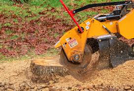 Best Lawn Maintenance Plans  in Day Valley, CA