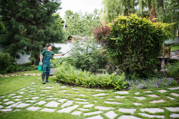 Best Commercial Tree Services  in Day Valley, CA